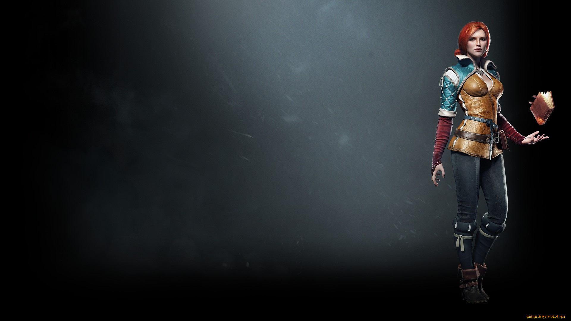  , the witcher 3,  wild hunt, 